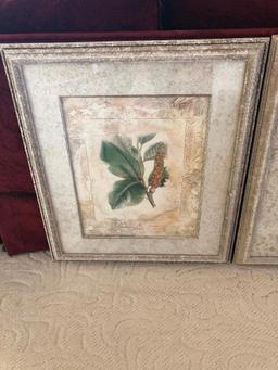 Pair Of Matching Matted & Framed Flora Prints