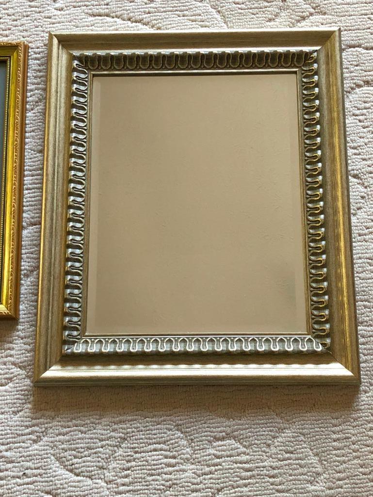 (2) Nicely Framed Decorator Prints + A Mirror