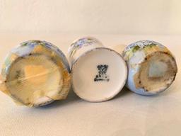 Hand Painted Germany Porcelain Salt/Pepper & Matching Tooth Pick Holder