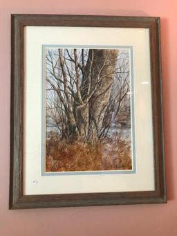 Framed Print of Tree by Malegora