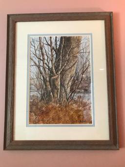 Framed Print of Tree by Malegora