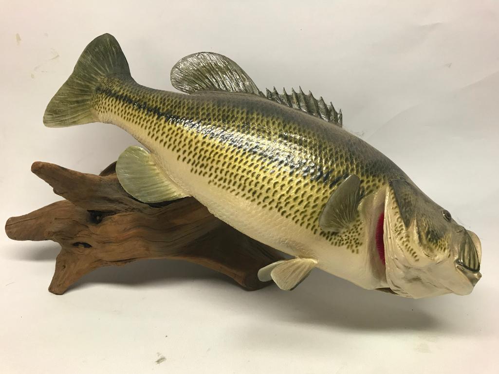 Fish Mount