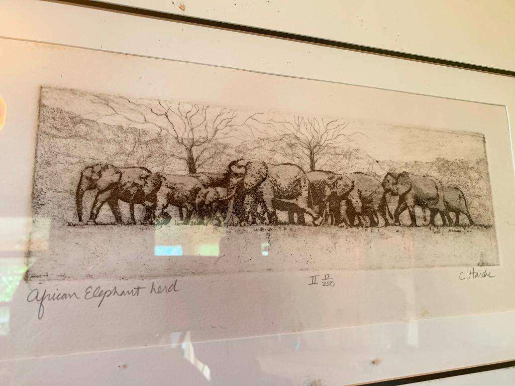 Framed and Numbered Print Titled African Elephant Herd, by C. Hardre