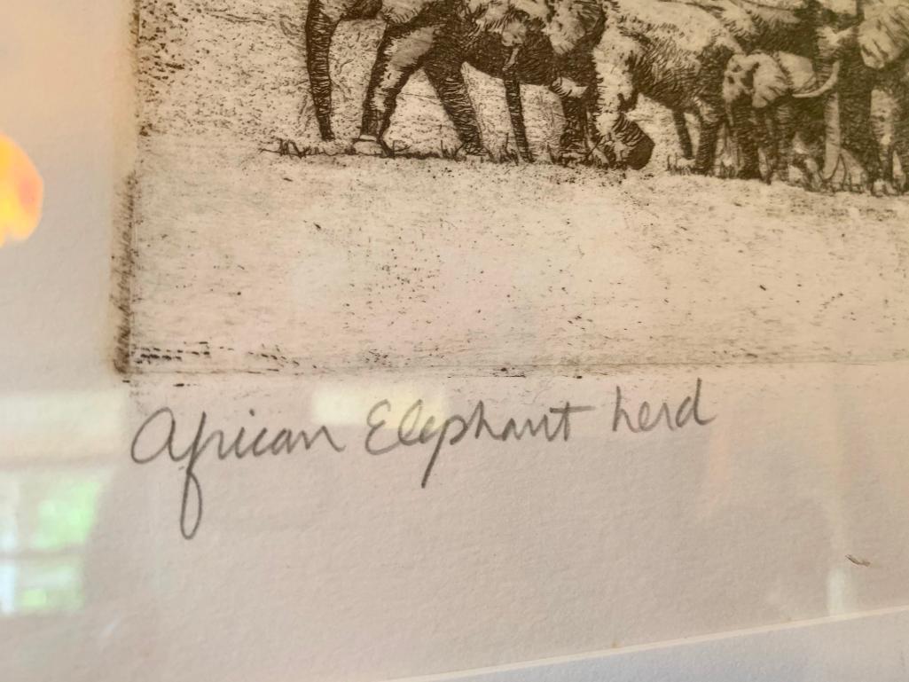 Framed and Numbered Print Titled African Elephant Herd, by C. Hardre