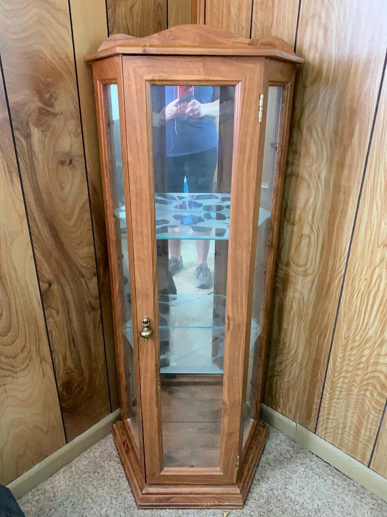 Small Curio Display Case. This is 48" T x 21" W x 11" D - As Pictured