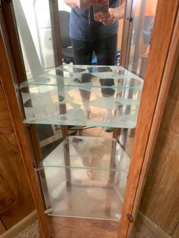 Small Curio Display Case. This is 48" T x 21" W x 11" D - As Pictured