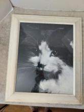 Vintage Framed Black and White Cat Photo