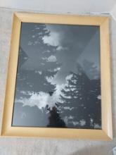 Framed Black and White Photo by Del Naylor