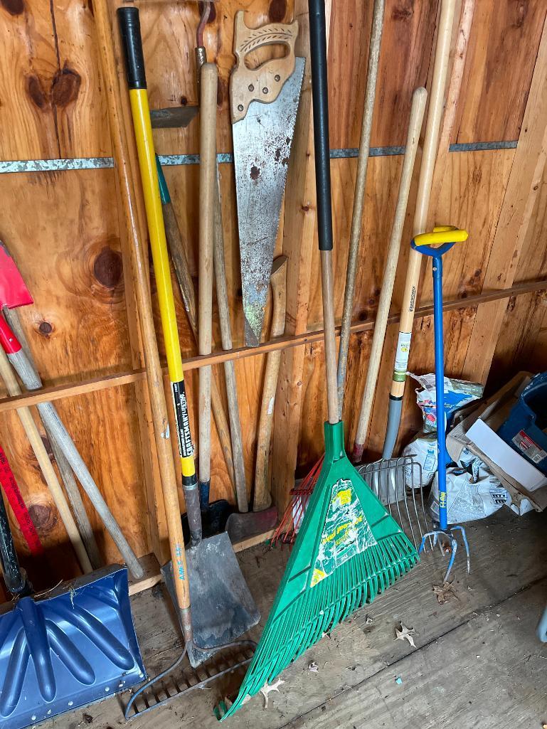 Lot of Shed Tools