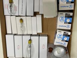 Group of Light Bulbs