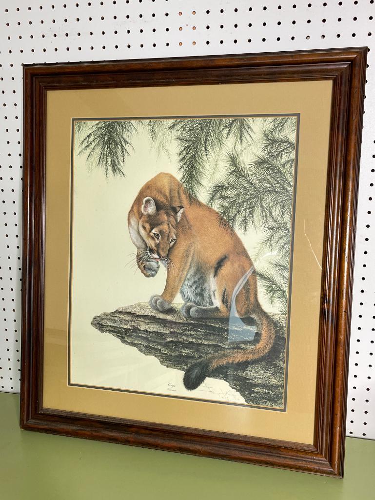 Framed "Cougar" Print - Signed and Numbered Farnsworth