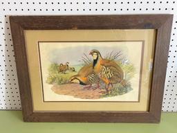 Framed Quill Print