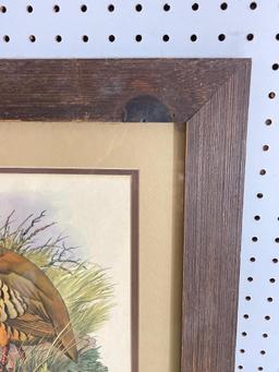 Framed Quill Print