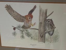 Thomas Allen Signed Print, "Screech Owl"
