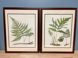 Pair of Framed Wall Art Pieces