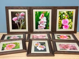 Group of 9 Framed Flower Photos