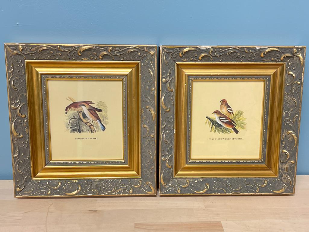 Pair of Framed Bird Prints