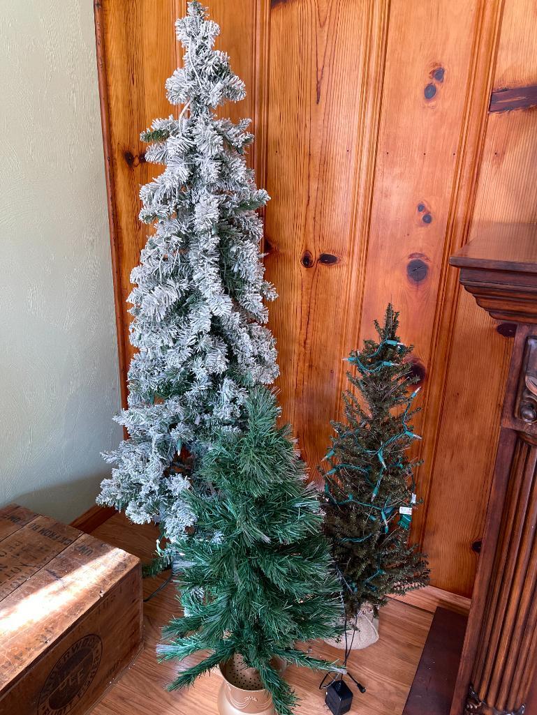 Group of 3 Christmas Trees