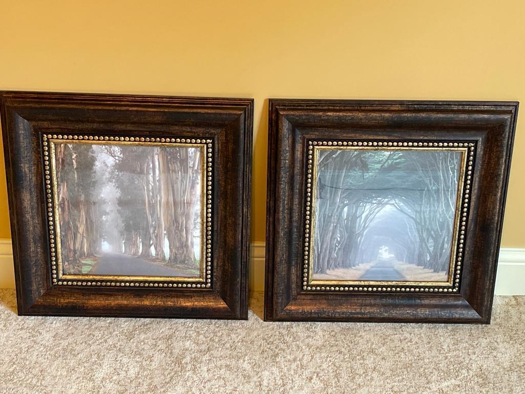 Set of 2 Framed Prints