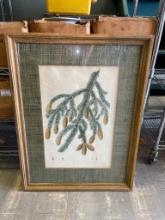 Framed Pinetree Branch Print