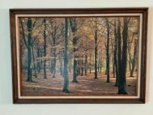 Framed Nature Print