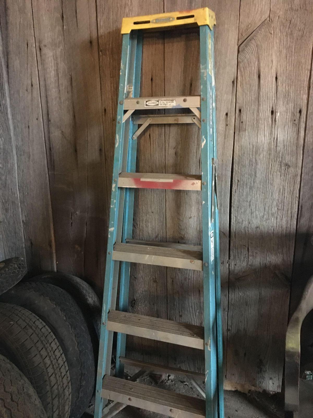 Werner 6ft Ladder