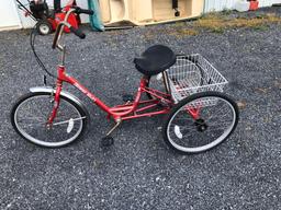 MIAMI SUN 3 wheel adult tricycle