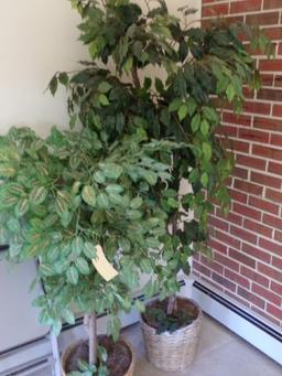 PAIR ARTIFICIAL TREES IN BASKETS APPROXIMATELY 4 FEET AND 5 FEET