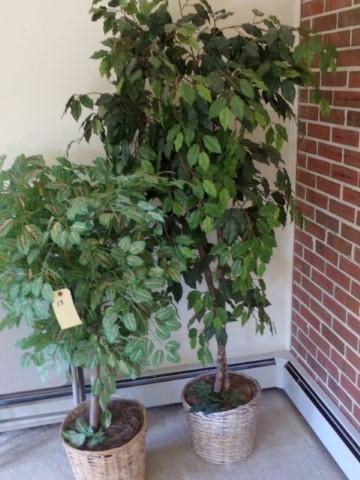 PAIR ARTIFICIAL TREES IN BASKETS APPROXIMATELY 4 FEET AND 5 FEET