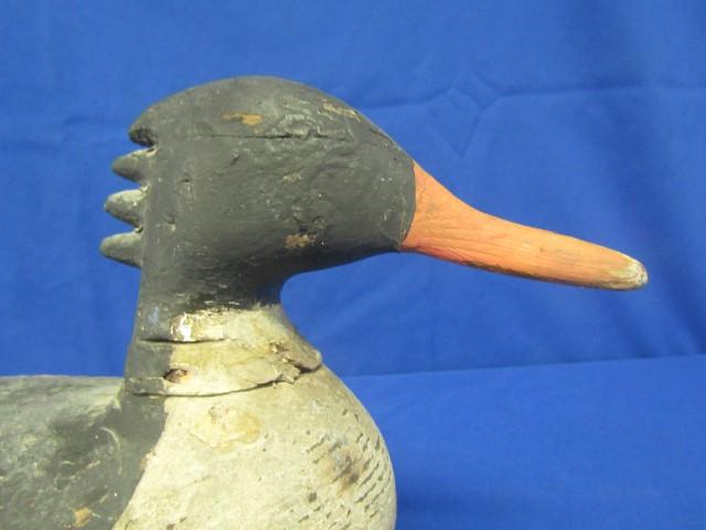 DRAKE MERGANSER DECOY ATTRIBUTED TO HV SHOURDS NEW JERSEY