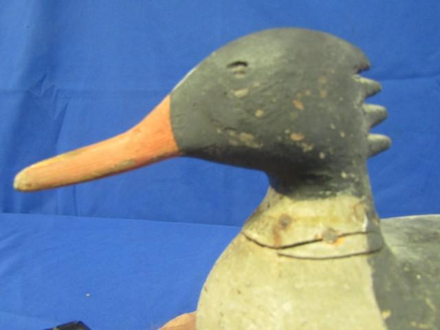 DRAKE MERGANSER DECOY ATTRIBUTED TO HV SHOURDS NEW JERSEY