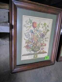 PAIR OF BOTANICAL PRINTS FEB AND NOV FRAMED UNDER GLASS 20 X 23