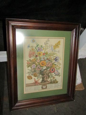 PAIR OF BOTANICAL PRINTS FEB AND NOV FRAMED UNDER GLASS 20 X 23