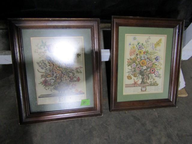 PAIR OF BOTANICAL PRINTS FEB AND NOV FRAMED UNDER GLASS 20 X 23