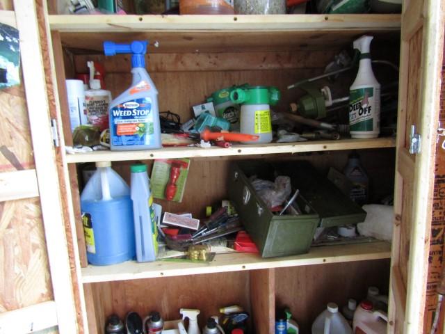 CONTENTS OF CABINETS WITH TOOLS GARDEN SUPPLIES CLEANERS AND MORE