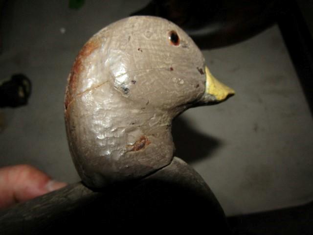 VERY EARLY COOT DECOY REPAINTED MAKER UNKNOWN