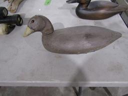 VERY EARLY COOT DECOY REPAINTED MAKER UNKNOWN