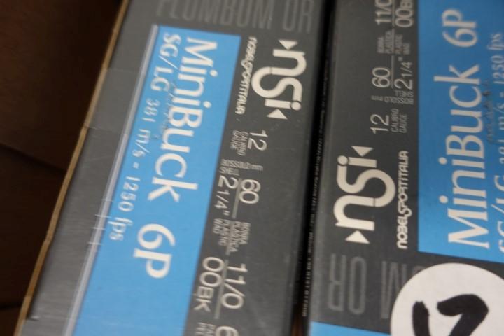 4 BOXES NSI 12 GA MINI BUCK 6 P