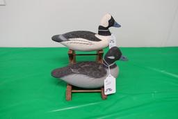 PAIR OF BUFFLEHEADS BY ROE DUCKMAN TERRY WRITTEN BY FROM MY OWN PERSONAL GU