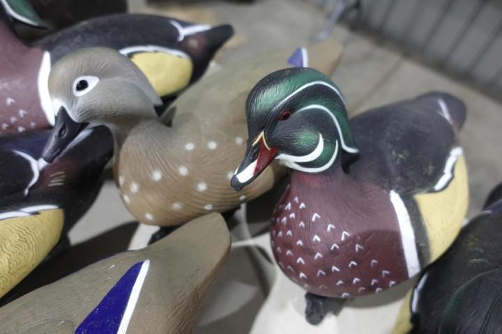 6 GREEN HEAD WOOD DUCK DECOYS