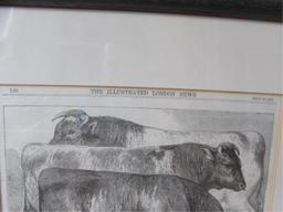 Framed & Matted Steel Engraving by Sam Carter