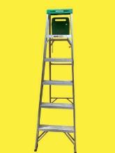 Werner Aluminum 6’ Ladder