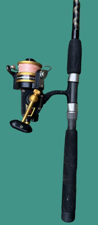 (2) Spinning Reels and Rods: