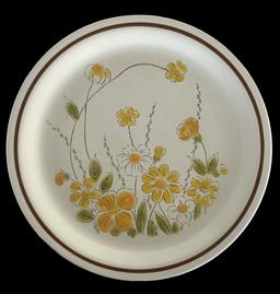 Camelot Stoneware China:  (2) Dinner Plates,