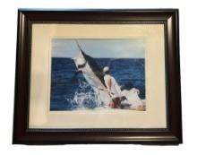 Framed and Double Matted Marlin Print - 21 1-2” x