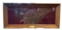 Framed Tobacco Leaf - 36” x 16”