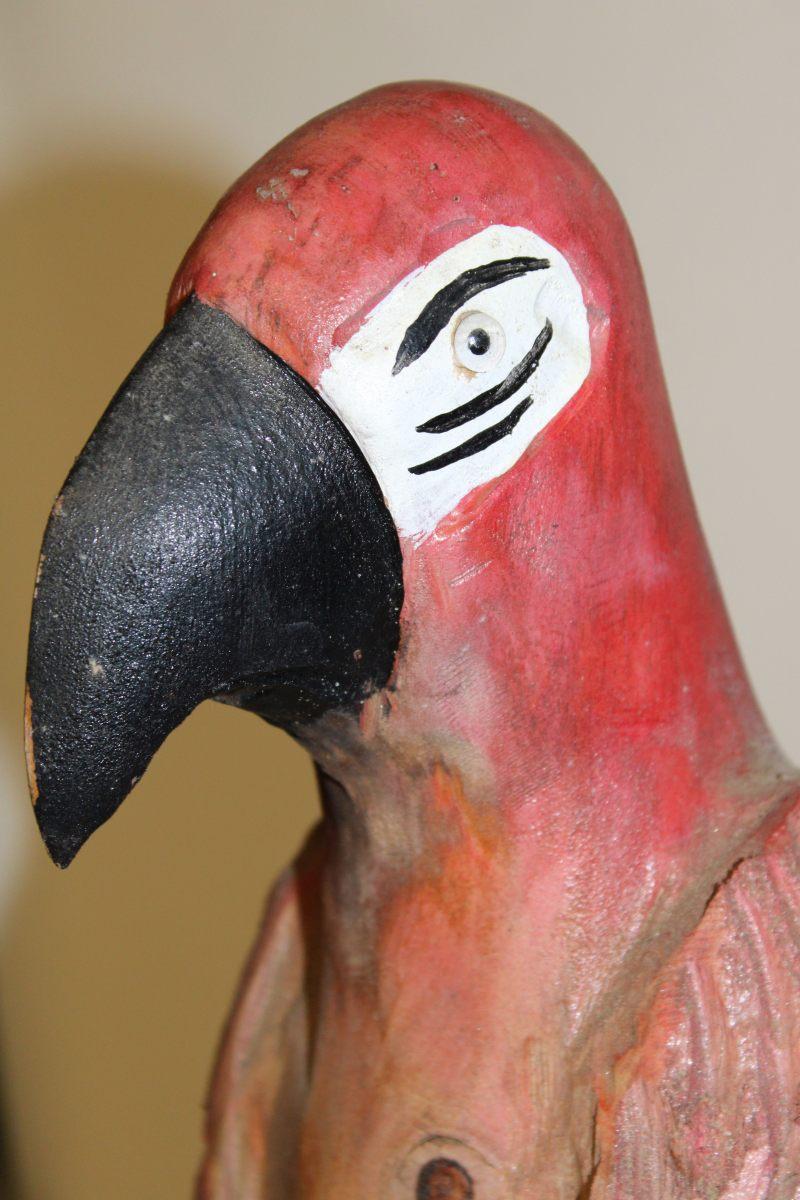 Solid One Piece Wood Carved Parrot From Seminole Reservation In Hollywood, Florida