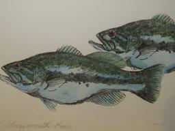 NICE 1/1 "Largemouth Bass" Framed Watercolor(?) By Frank T Coen