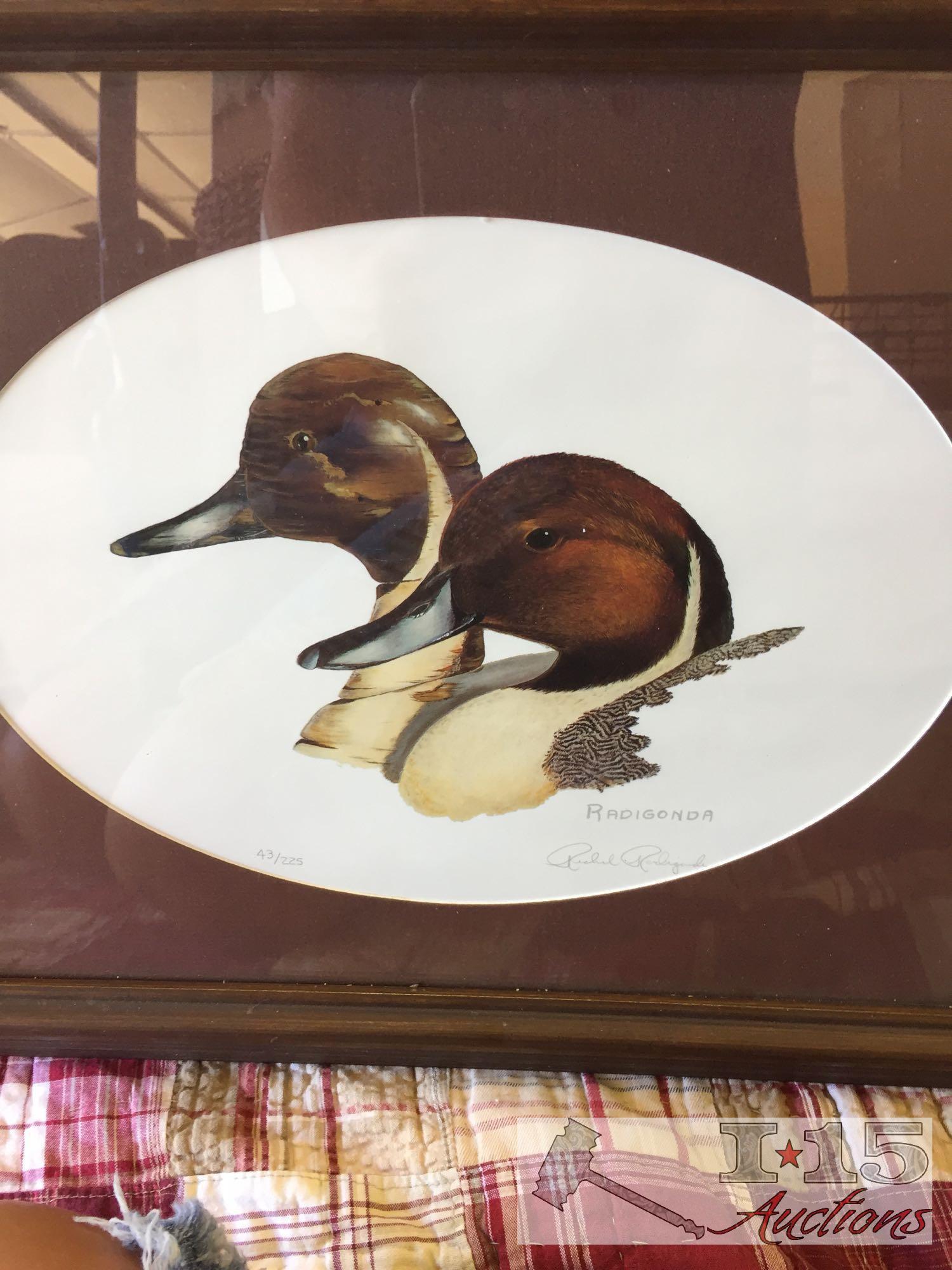 Assorted duck prints with frame