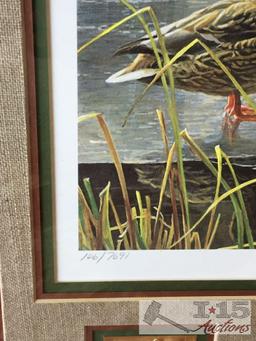 Assorted duck prints with frame